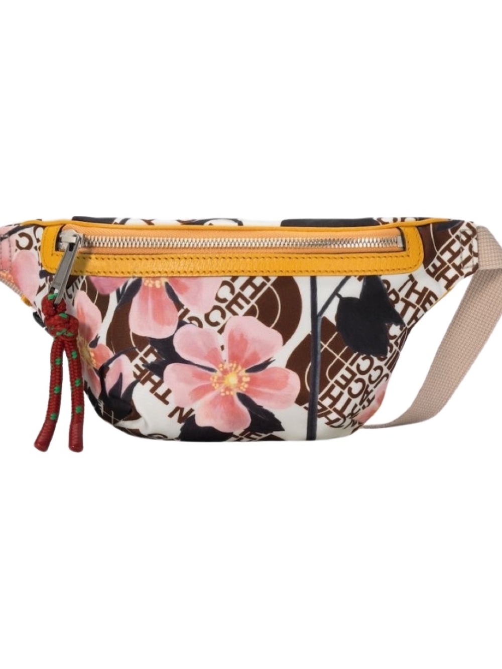 GUCCI X THE NORTH FACE BELT BAG